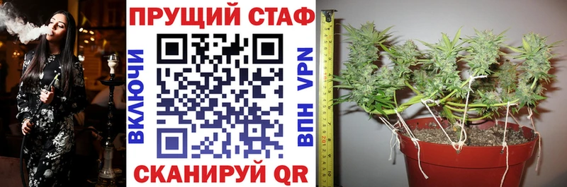 Купить наркотик Щёлково ГАШ  Марихуана  СК  МЕФ  COCAIN 