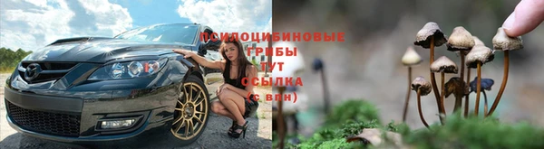 ALPHA PVP Алексин